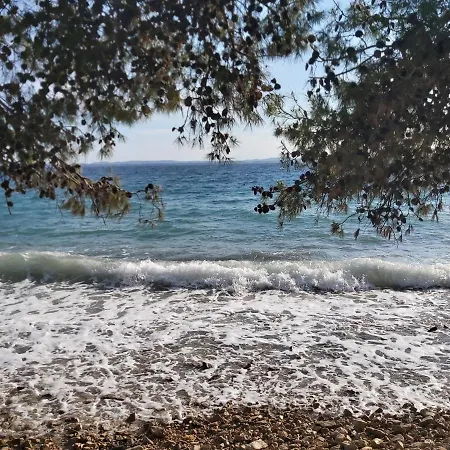 Corto Petrcane